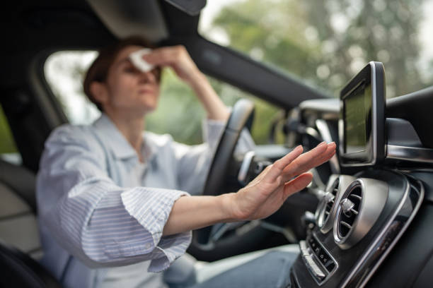 Best Thermostats and Smart Controls in Le Center, MN