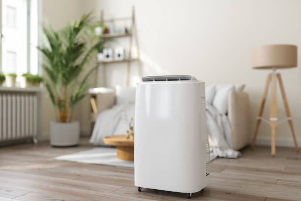 Best Ductless Mini-Split Systems in Le Center, MN